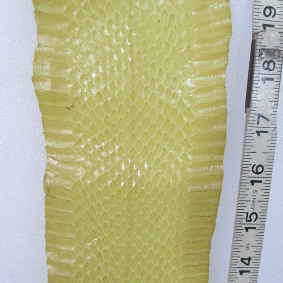 BUNDLE OF EXOTIC LIZARD SKINS AND SNAKESKIN - Picture 13 of 16